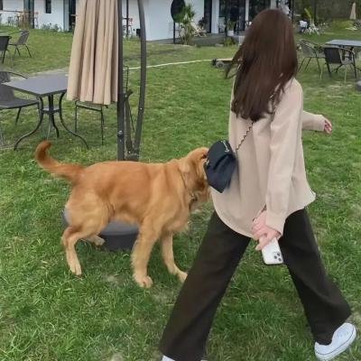 情场现形记